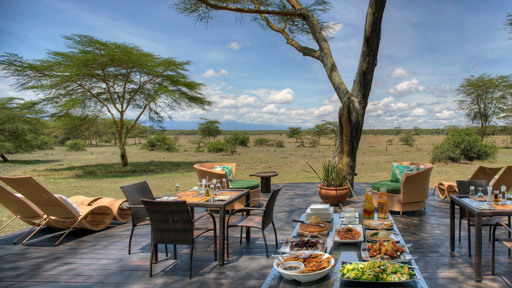 Great Lions Safaris Picnic and meals on the tour