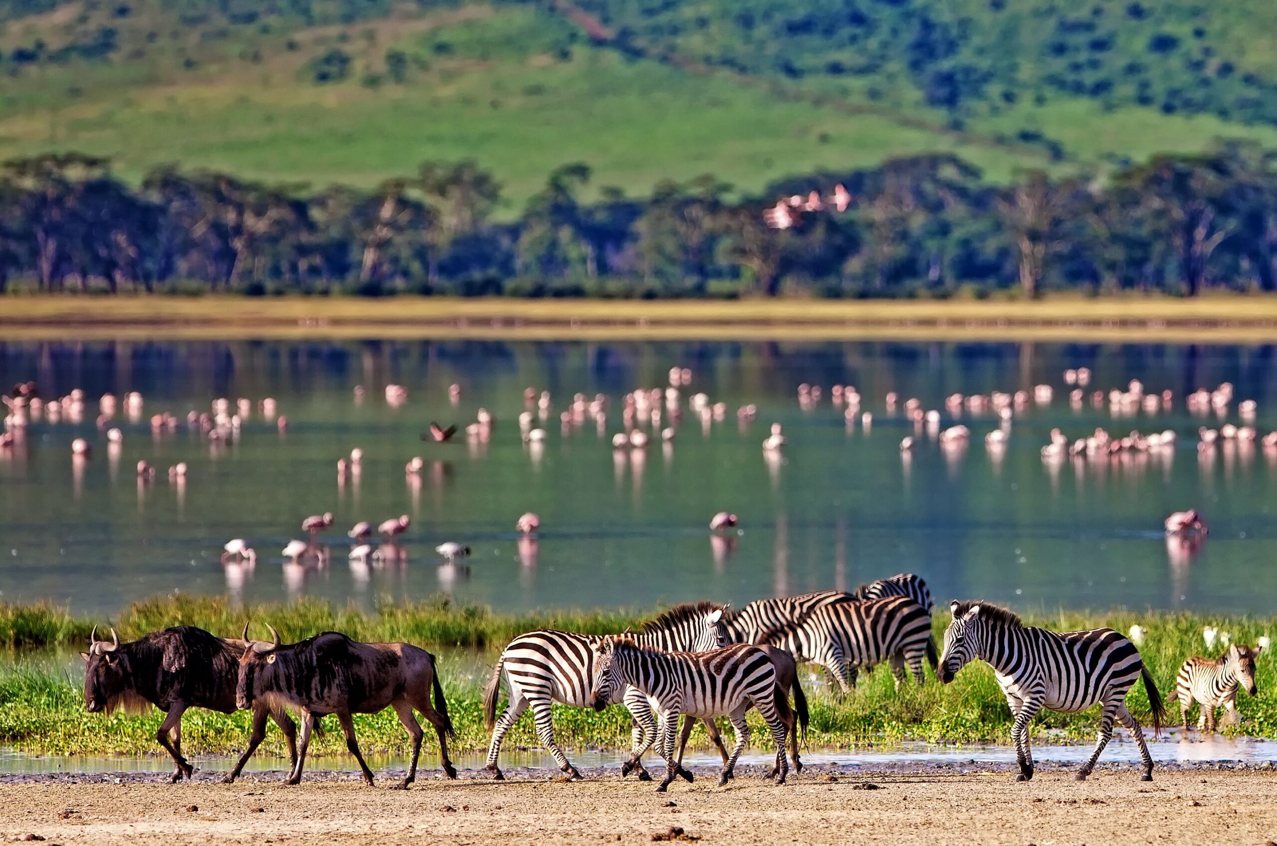 Visit Tanzania