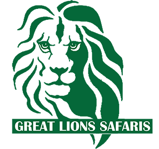 Great Lions Safaris