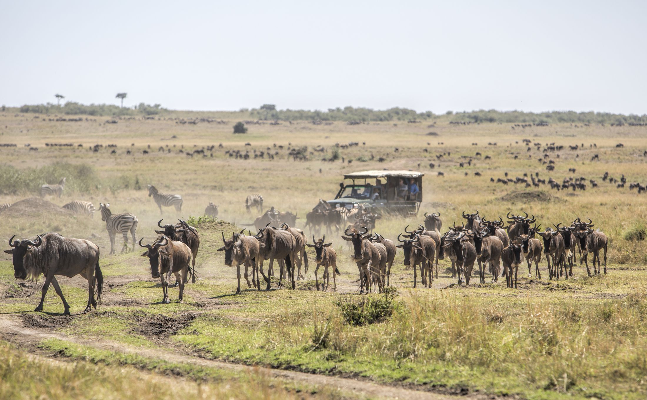 Visit Kenya